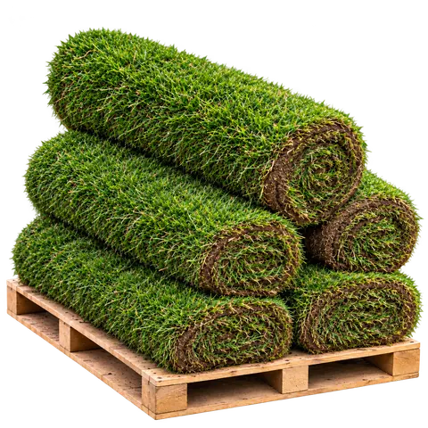 Fresh natural grass turf ready for supply and delivery